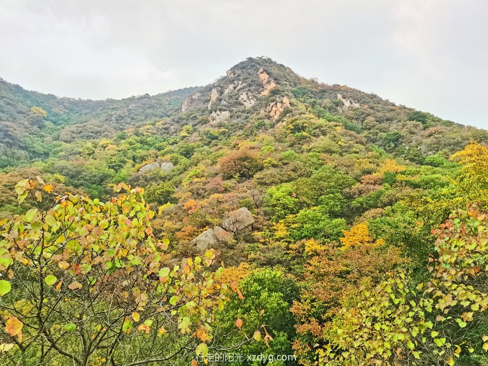 mmexport1664711735803_edit_619034594384184