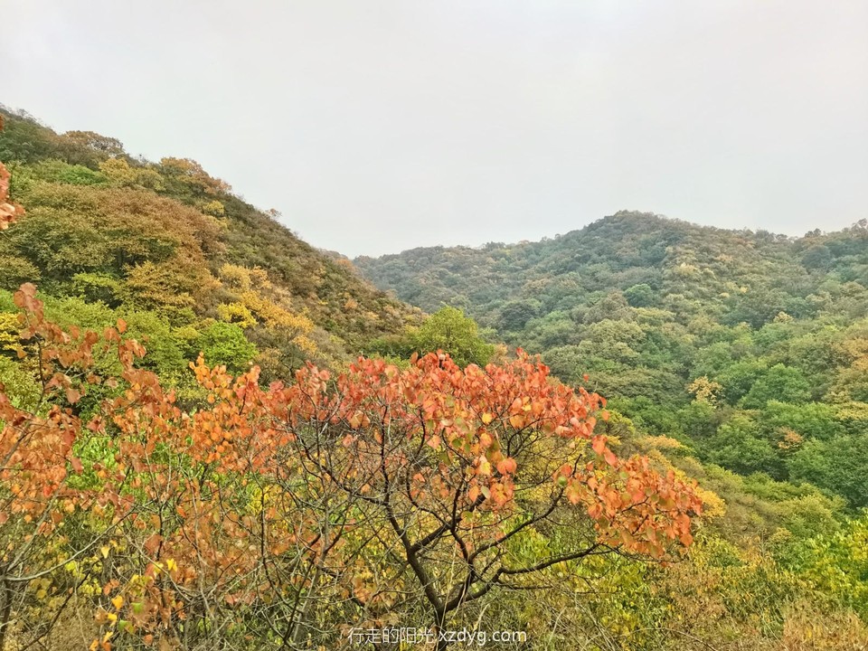 mmexport1664711728144_edit_619049520312306