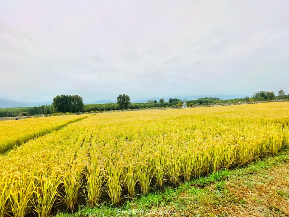 mmexport1664770547230_edit_16630558767253