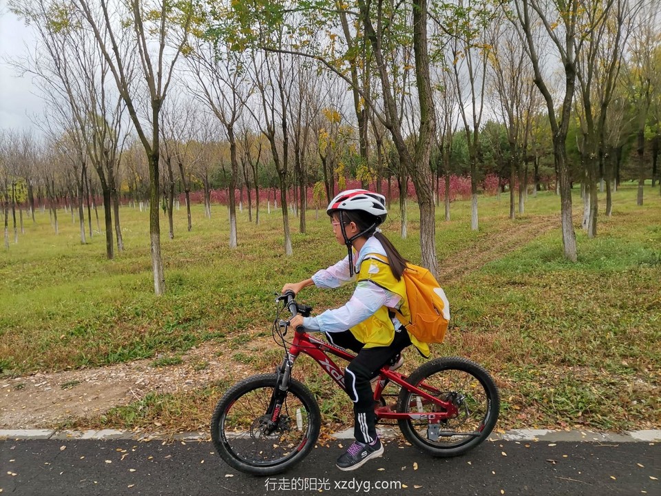 mmexport1664770592250_edit_16610536052673