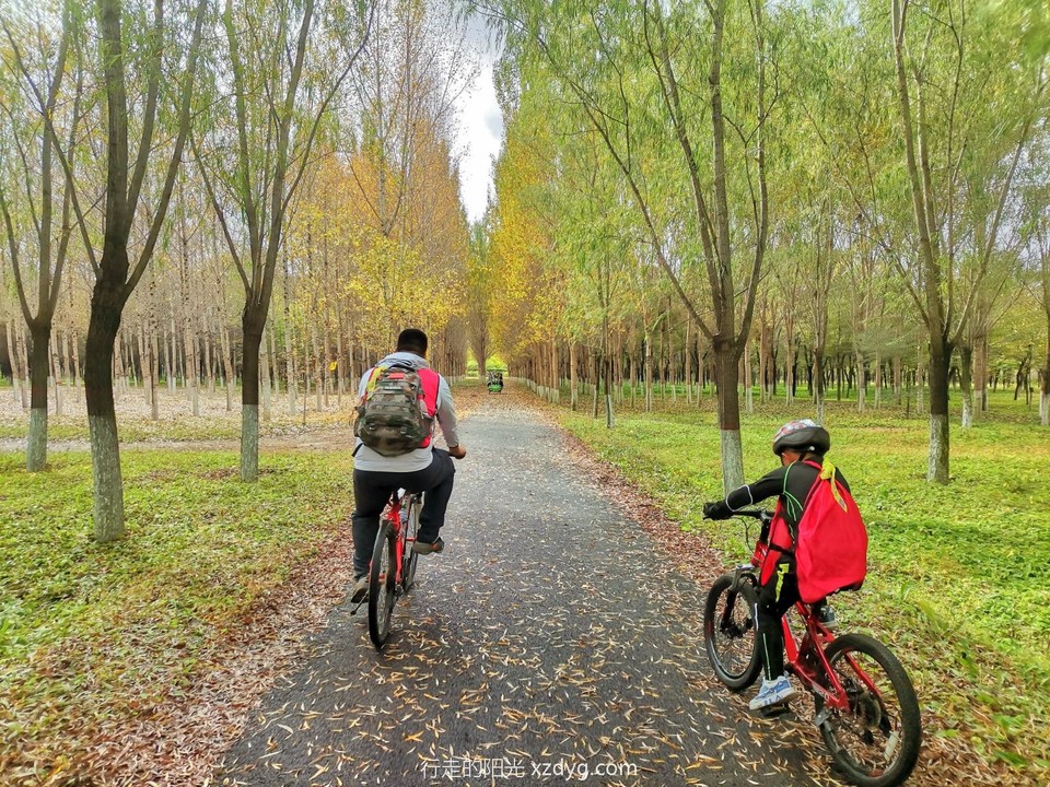 mmexport1664770603783_edit_16602338872987