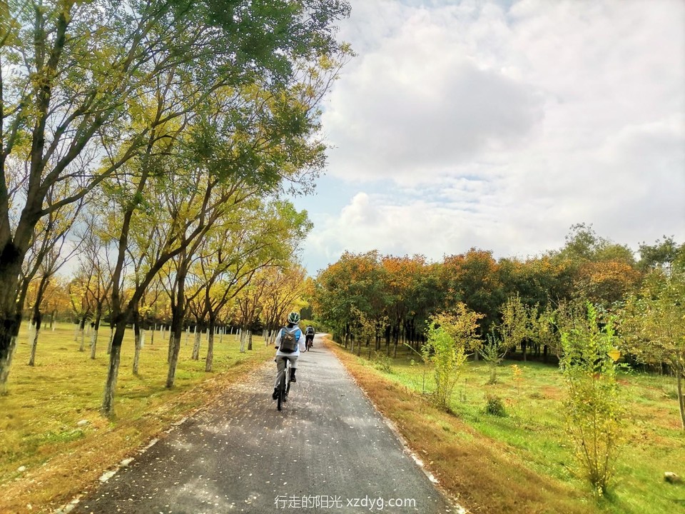 mmexport1664770614151_edit_16591141583405