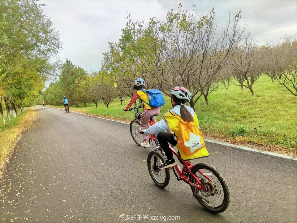 mmexport1664770626842_edit_16580362354240