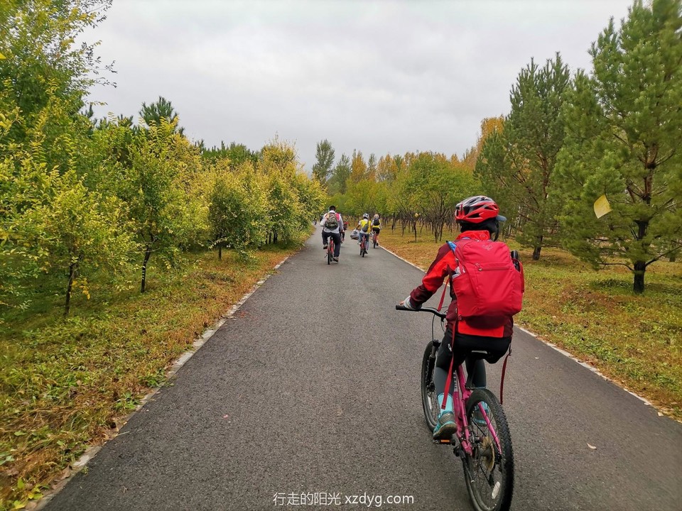 mmexport1664770642581_edit_16569163649033