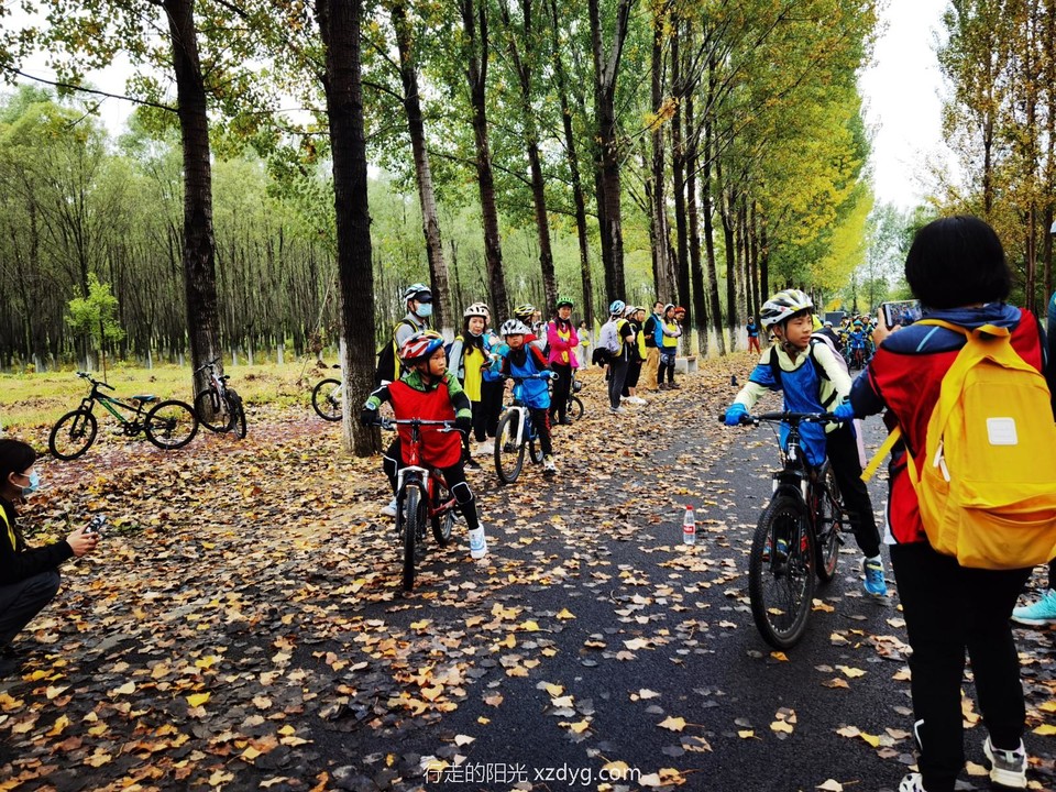 mmexport1664770861648