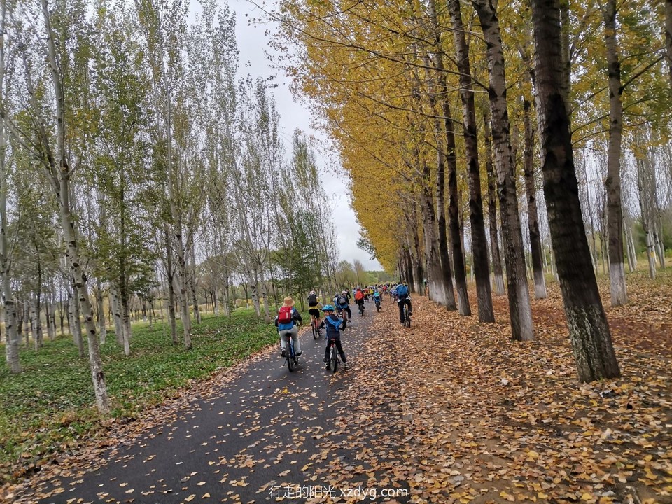 mmexport1664770805470