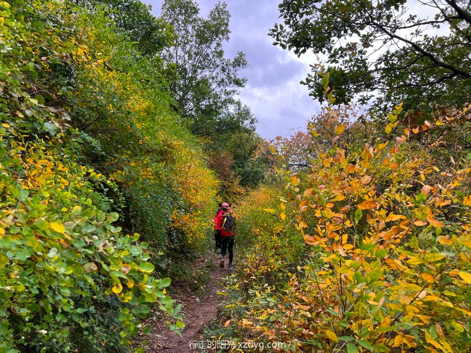 mmexport1664858013841