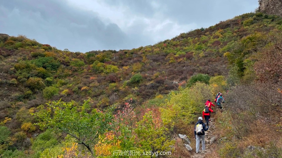 mmexport1664857898235