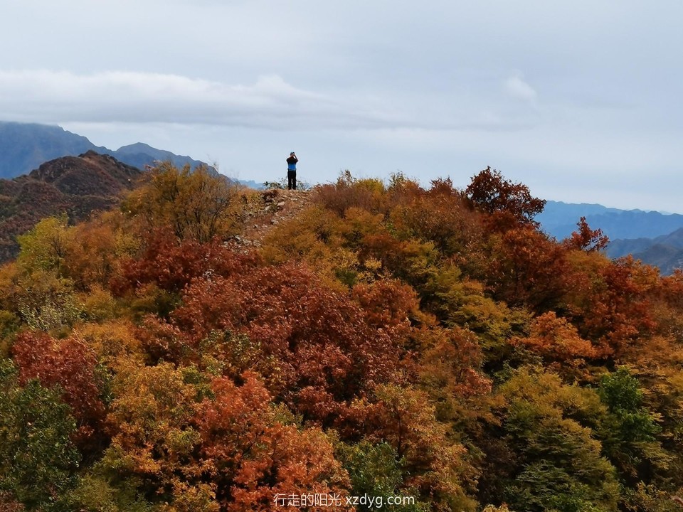 mmexport1664857639439