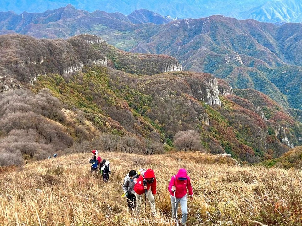 mmexport1664881805685