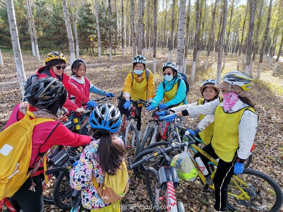 mmexport1665279991352_edit_267188808181624