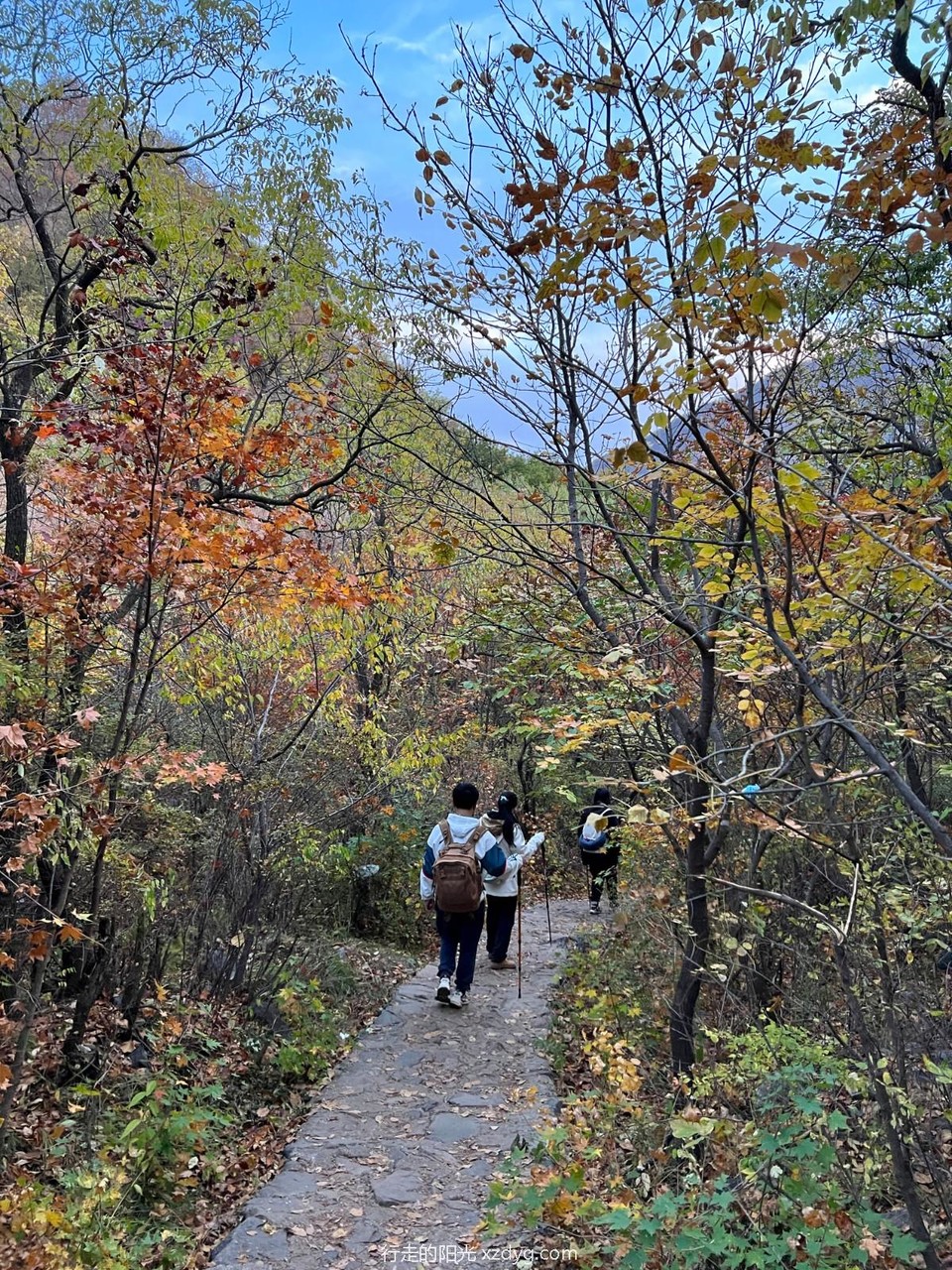 mmexport1665287495191_edit_272574580079760