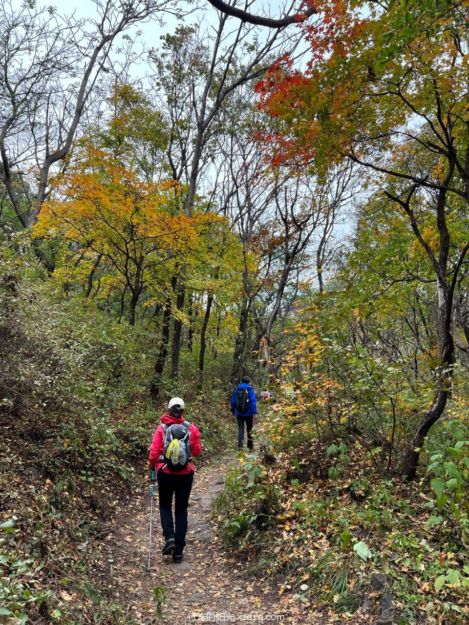 mmexport1665287531474_edit_272567322277157