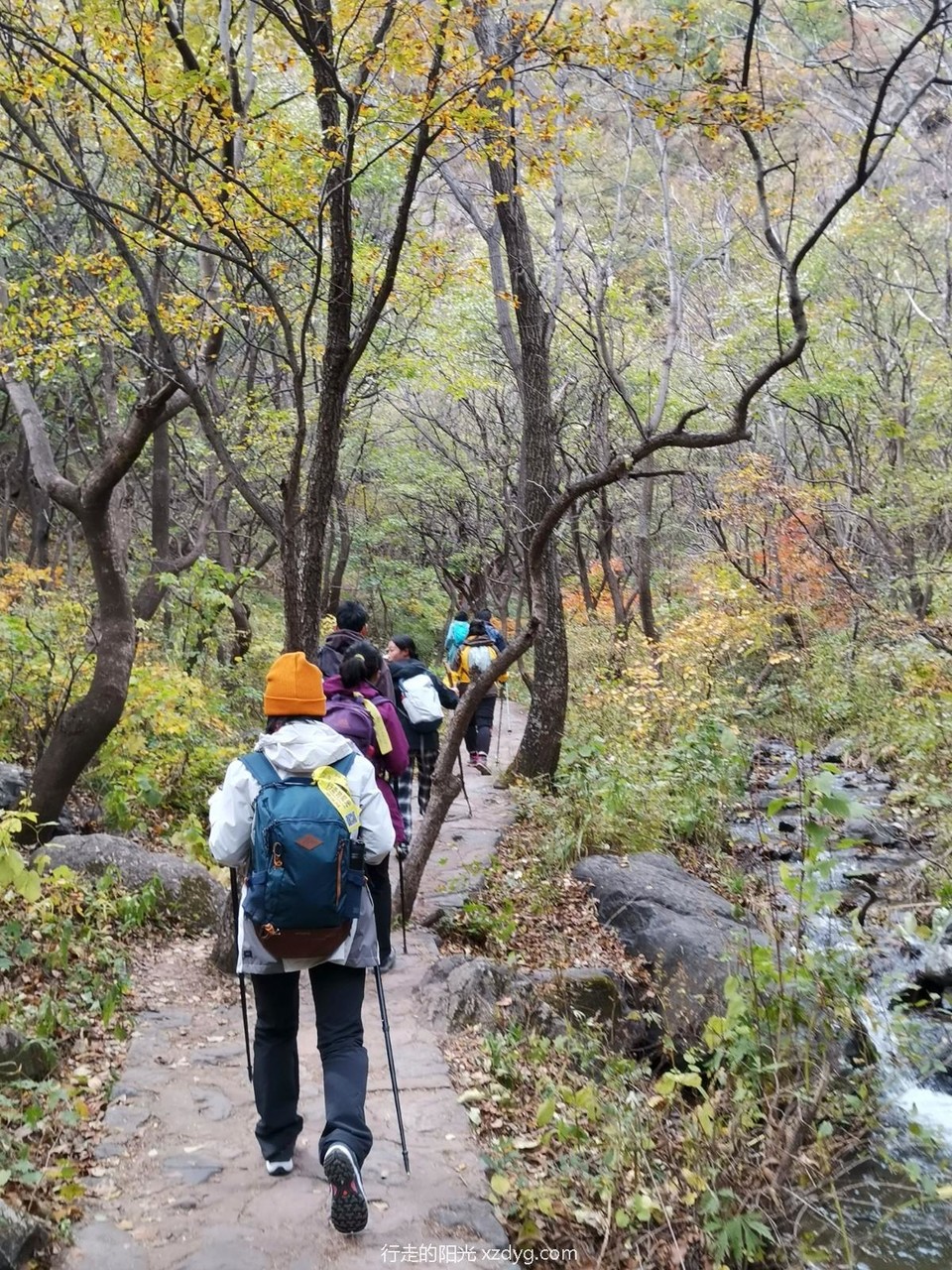 mmexport1665287562534_edit_272559593806325