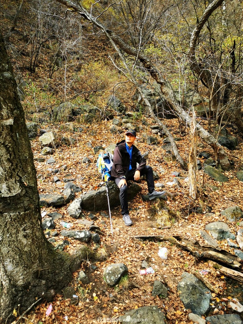 mmexport1665287600997_edit_272550098711014