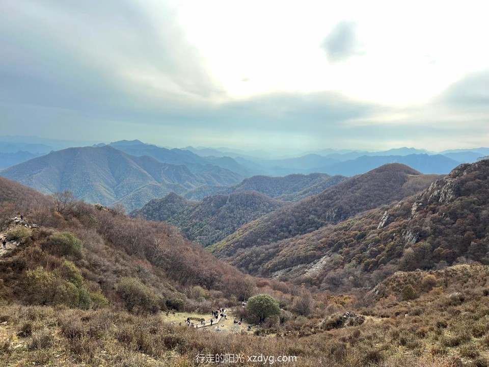 mmexport1665124380663_edit_202344044862873