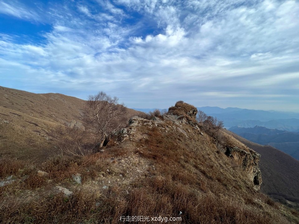 mmexport1665124419549_edit_202331277658709