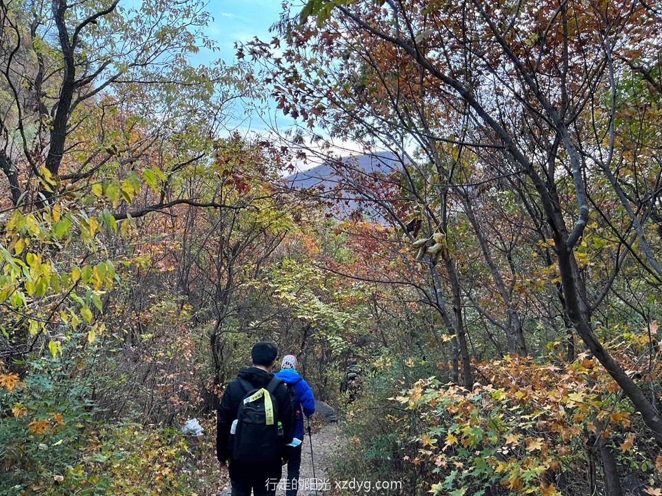 mmexport1665124320189_edit_202351288497768