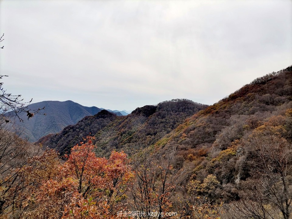 mmexport1665140487068_edit_202288788749861