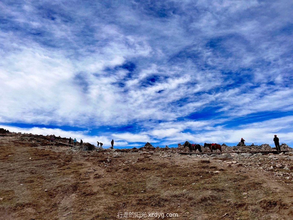 mmexport1665140576958_edit_202280684856112