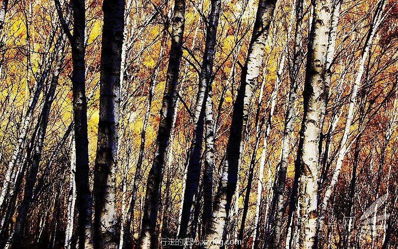 mmexport4cd4441612c8f69fcafc9d3f50775145_1665048006768