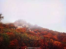 mmexport1665047519698