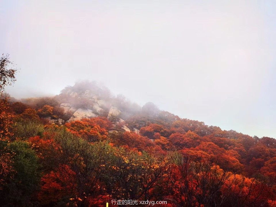 mmexport1665047519698