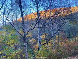 mmexport1665047575062