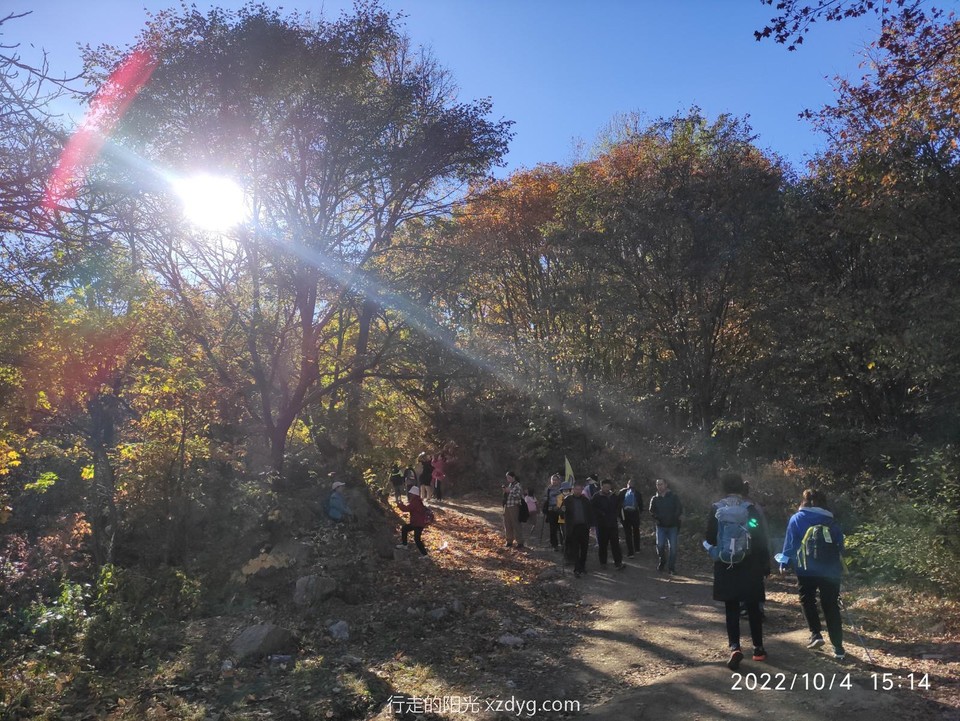 mmexport1665047490829