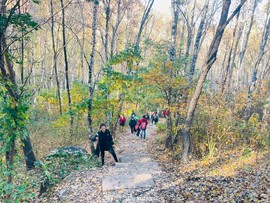 mmexport1665047448557