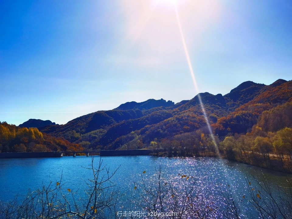 IMG_20221016_102607_edit_160525218679671