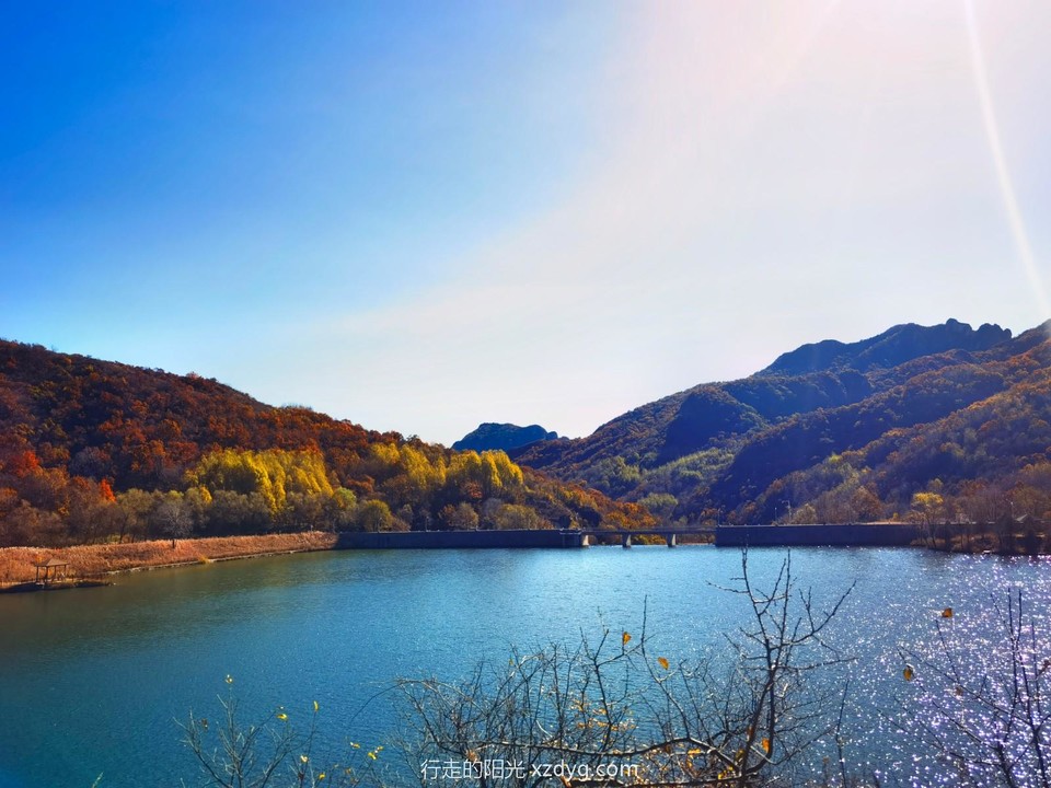 IMG_20221016_102610_edit_160514918541652