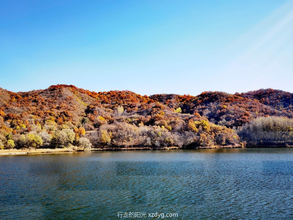 IMG_20221016_103007_edit_160503592219778