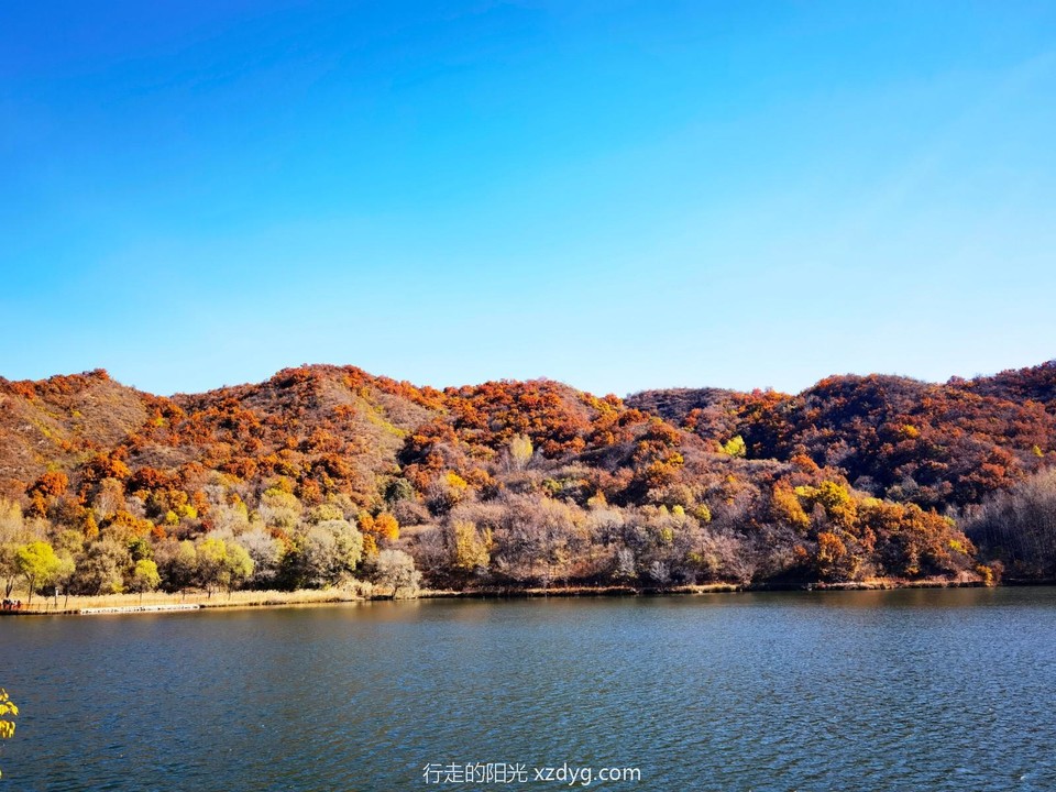 IMG_20221016_103010_edit_160492297114051