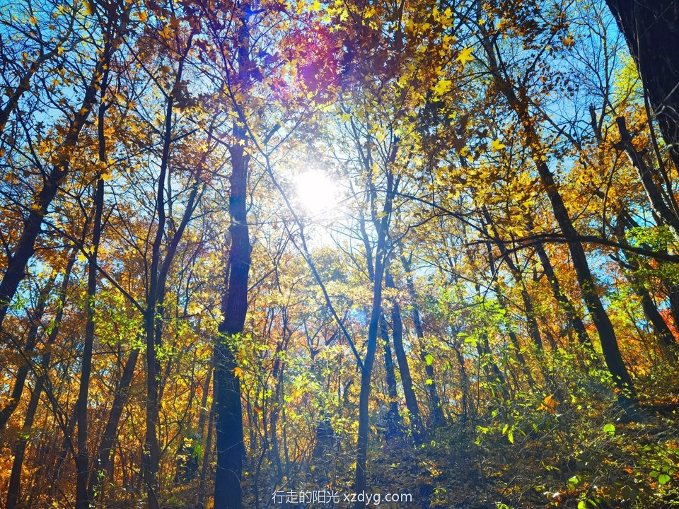 IMG_20221016_123355_edit_160447195406766