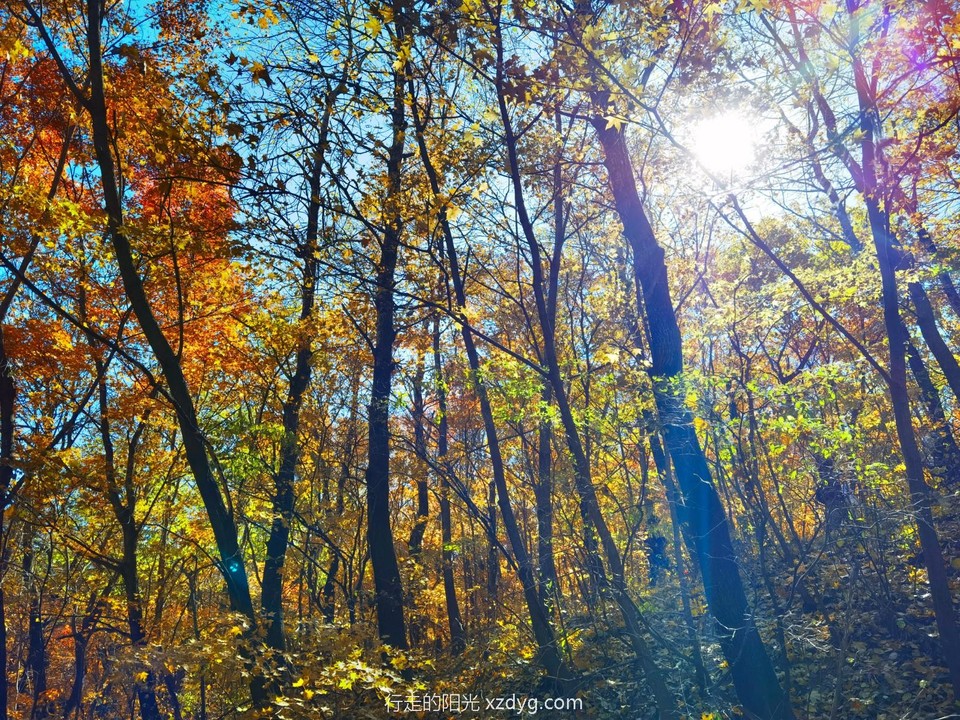 IMG_20221016_123417_edit_160433663173956