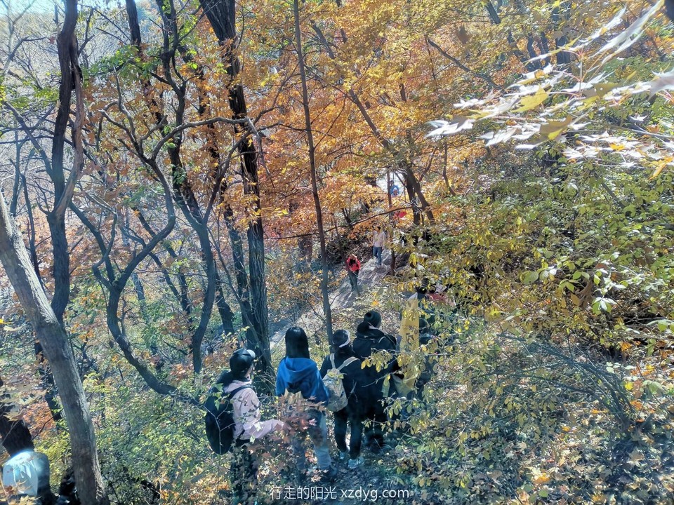 mmexport1665921782454_edit_160388544436463