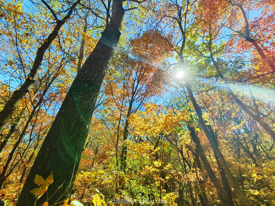 mmexport1665921863004_edit_160366397149487