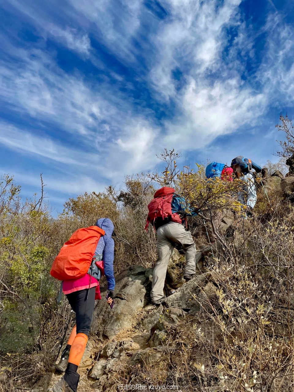 mmexport1665988644208_edit_195919429534687