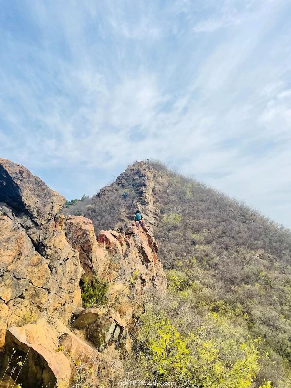 mmexport1665989170584_edit_195876514729485