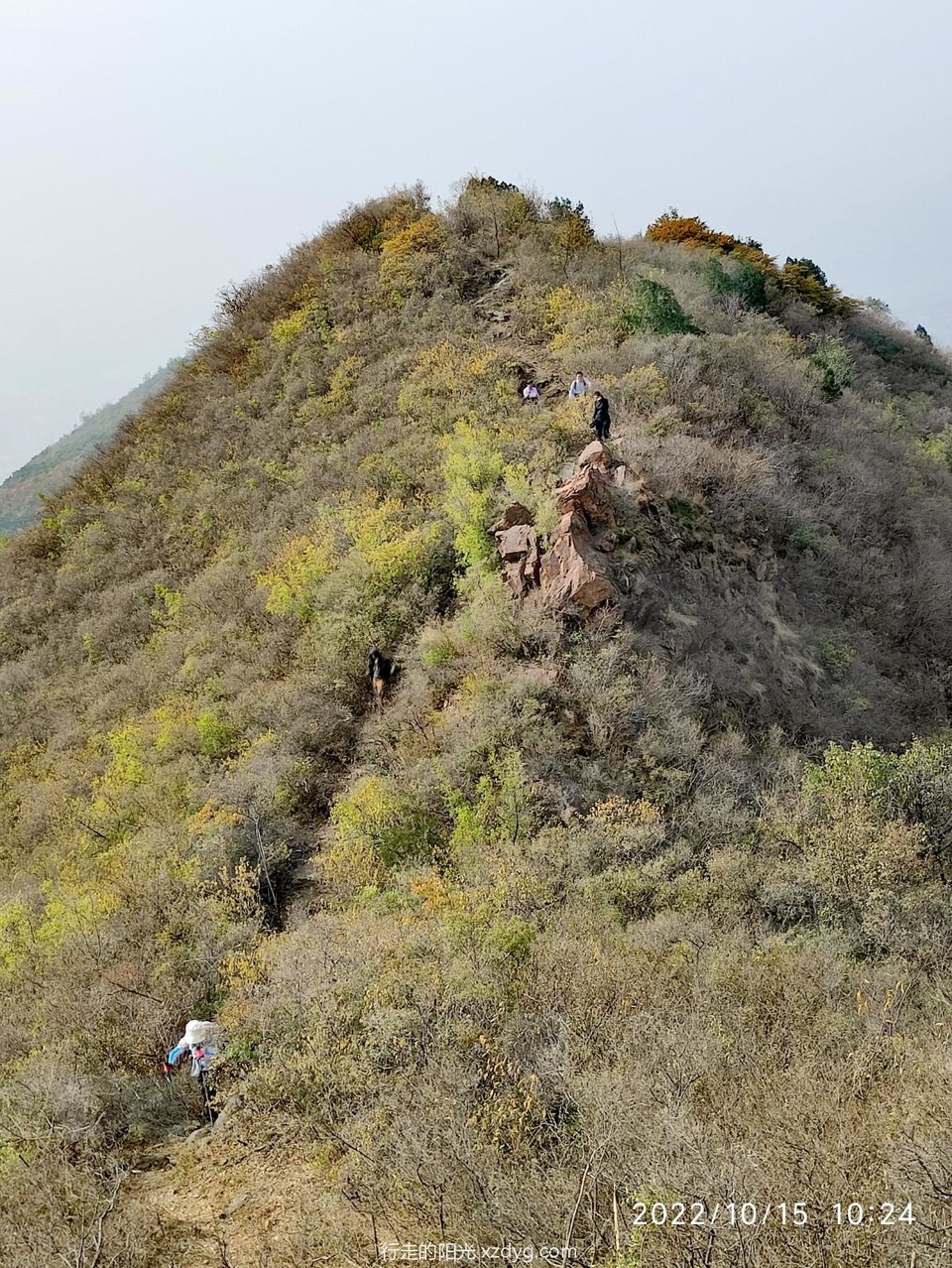 mmexport1665988733293_edit_195899517277398