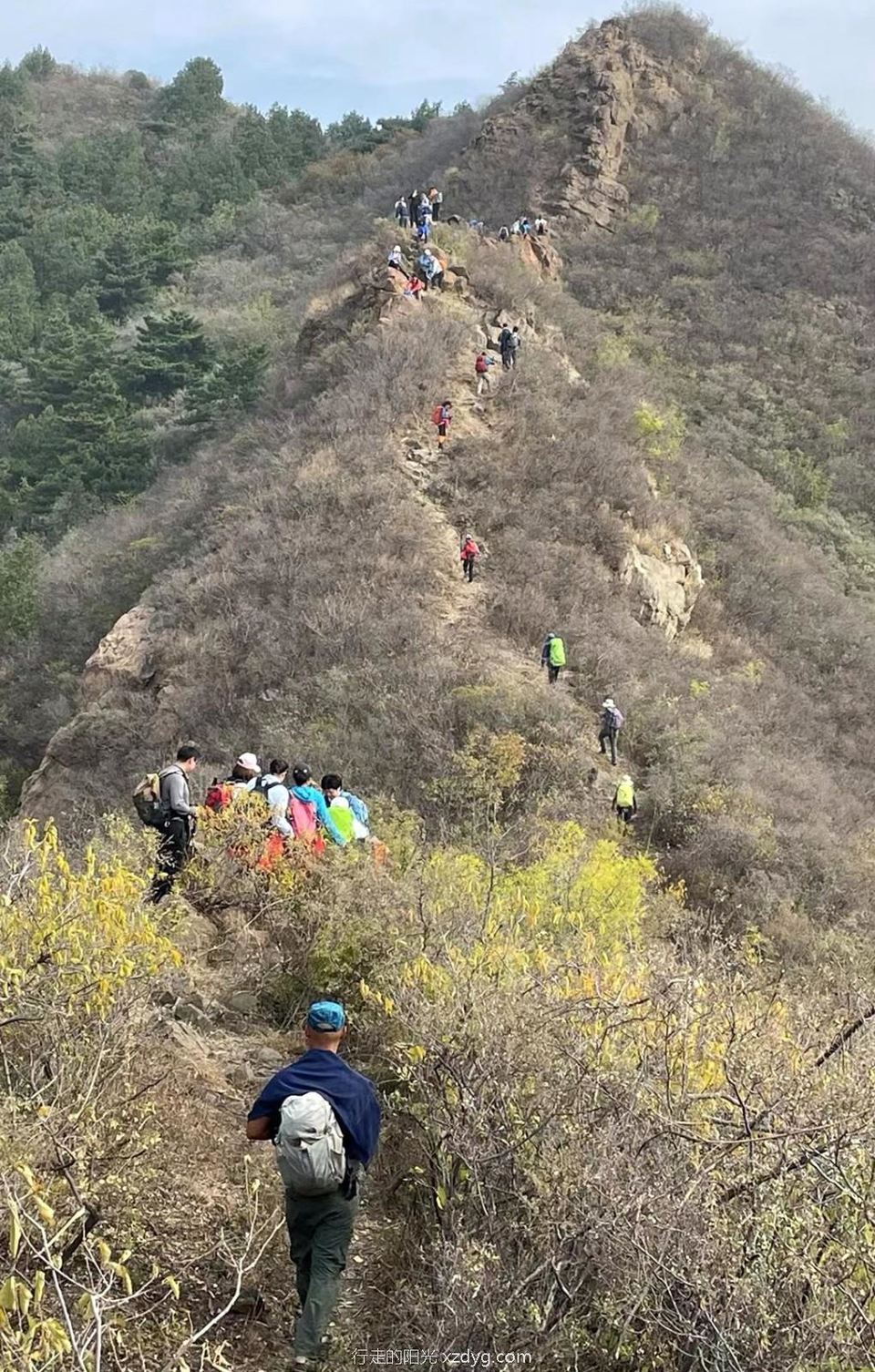 mmexport1665989190008_edit_195862649043550