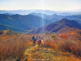 IMG_20221022_154301_edit_117101473287857