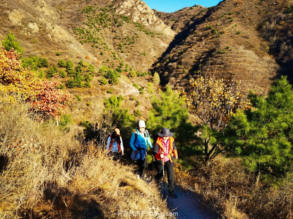 IMG_20221022_160412_edit_117078868723277