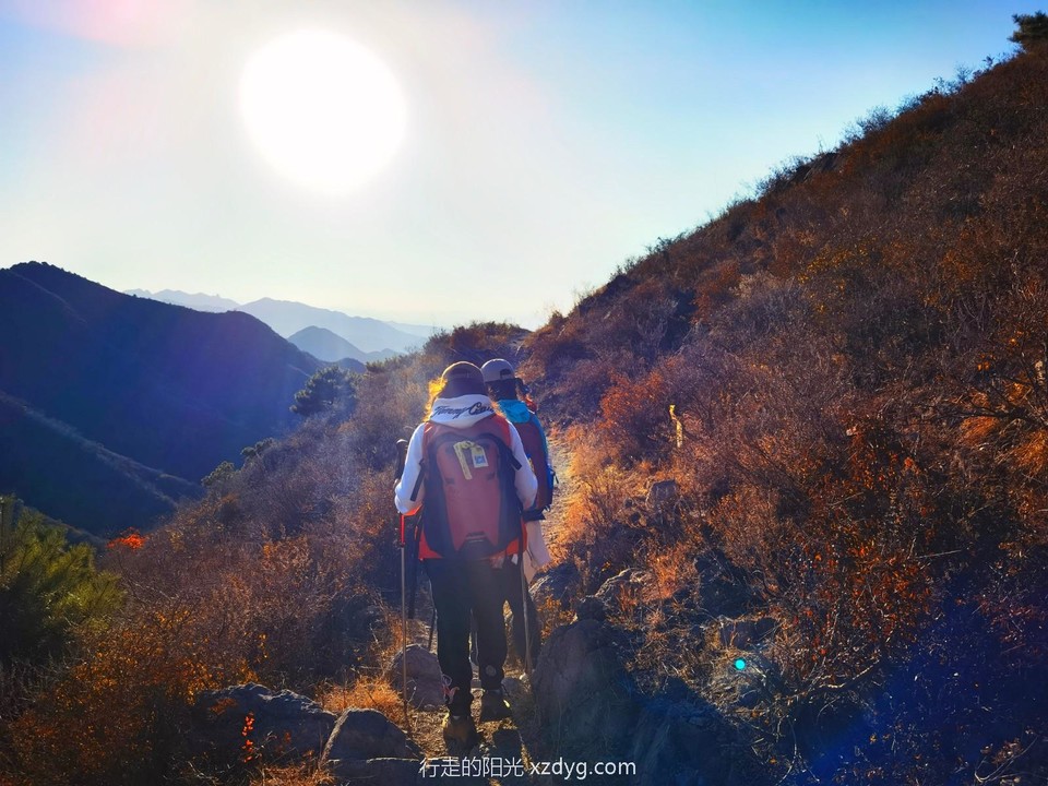 IMG_20221022_160555_edit_117060288242551