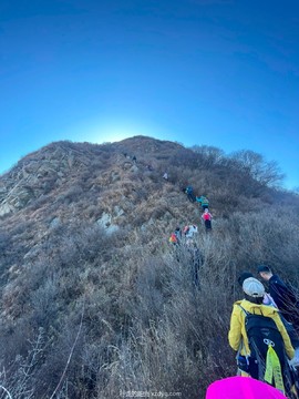 mmexport1666510124180