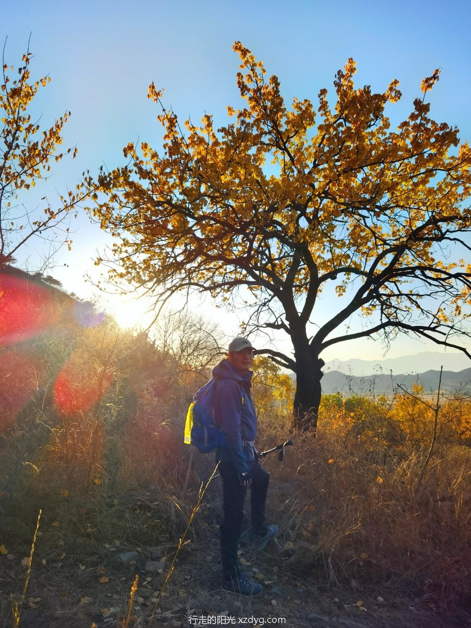 IMG_20221022_164342_edit_86434397044099