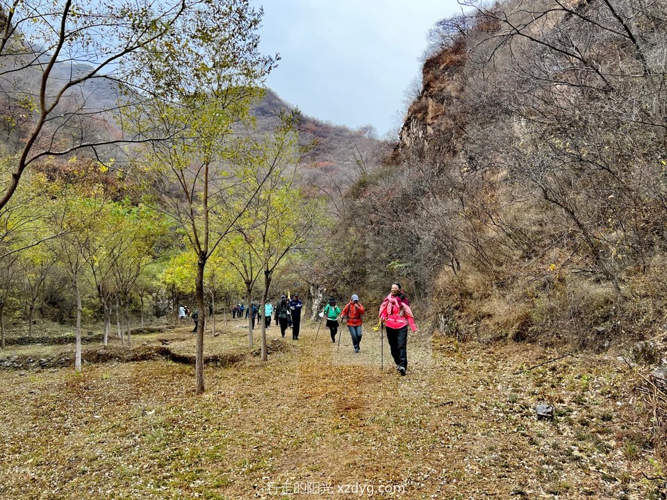 mmexport1667043193368_edit_70435572703835