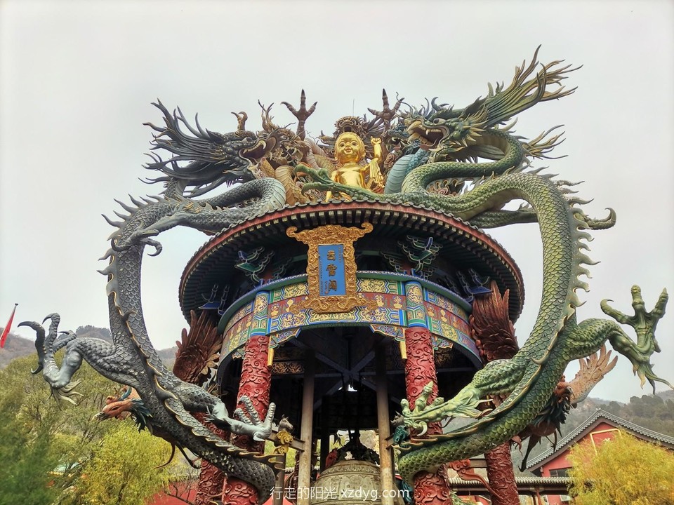 mmexport1667043217298_edit_70424085008003