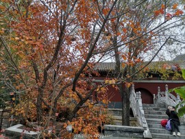 mmexport1667043269050_edit_70408640501755